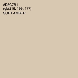 #D8C7B1 - Soft Amber Color Image